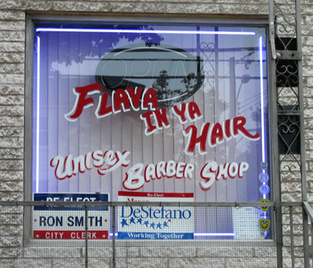 Flava In Ya Hair