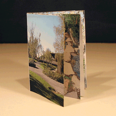Free For All downloadable book