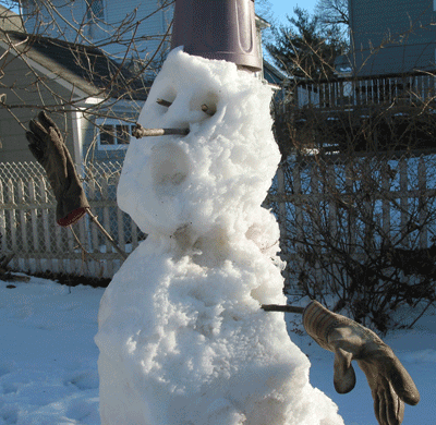 Mr. Snowman Jr.